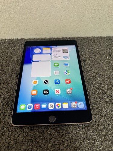 Apple ipad mini - ipad,