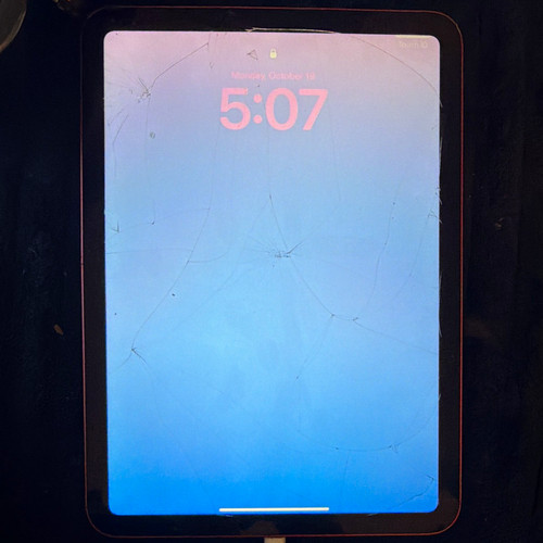 Apple ipad 9in - apple, 64gb